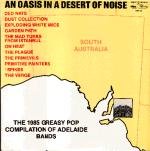 oasis in a desert of noise.jpg