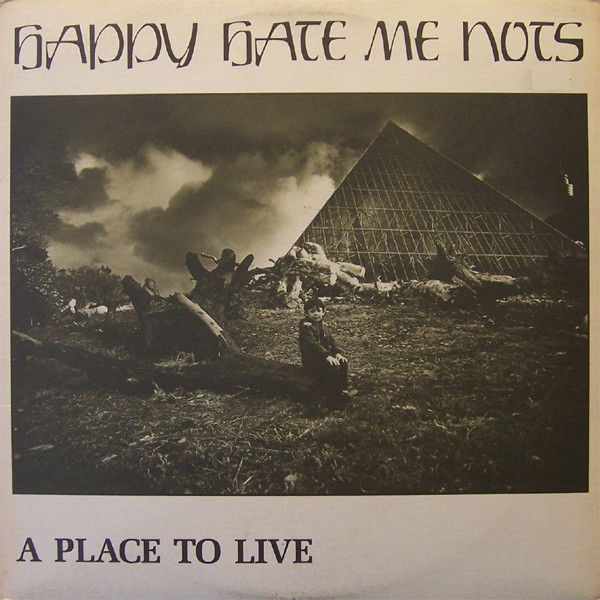 A Place to Live cover