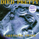 Caressing Swine