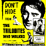 Don't Hide/Tear You Apart