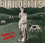 Venus In Leather / Amphetamine Dream
