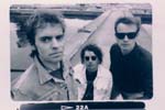 Backsliders