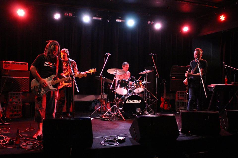 The Bo-Weevils at their 2015 reunion show