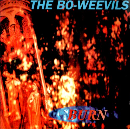 Burn cover