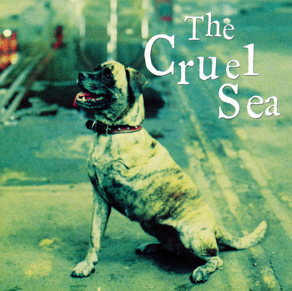 Three Legged Dog cover