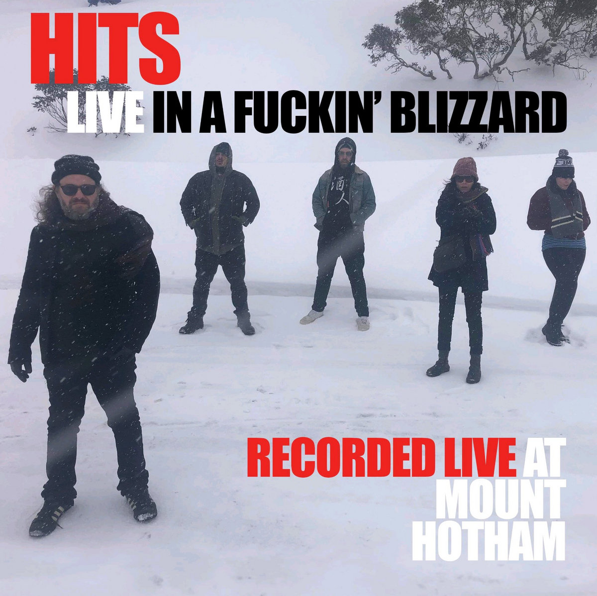Live in a Fuckin' Blizzard cover