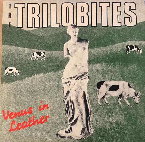 Venus in Leather cover